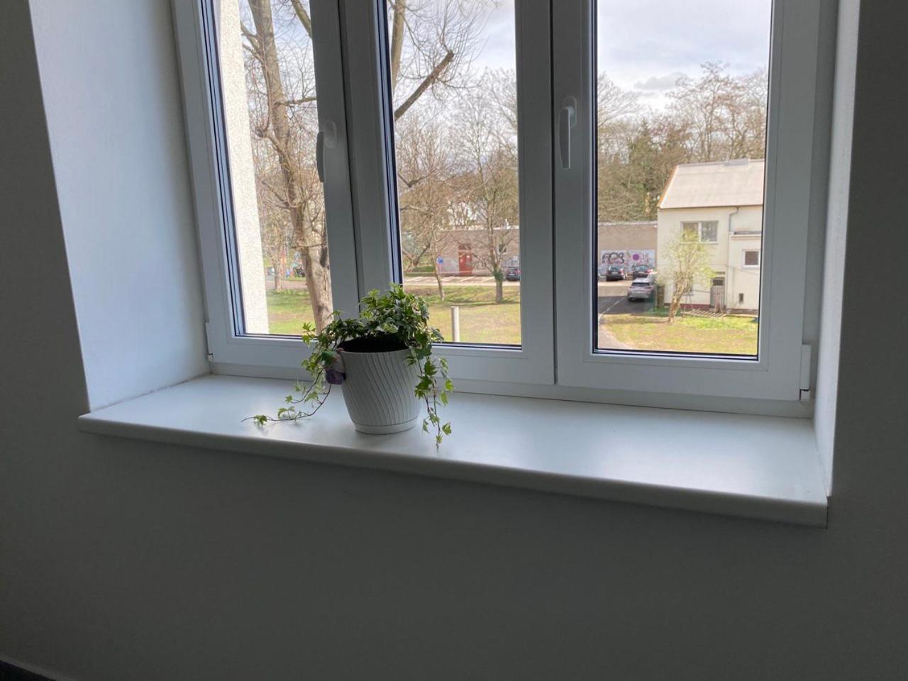 Apartmán Perla Hradce 301 Hradec Králové Exteriér fotografie
